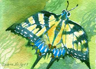 "Eastern Tiger Swallowtail" by Debra Hetzel Wambach, Oconomowoc - Watercolor,